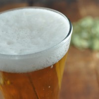 Hopback_featured