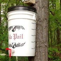 hops_bucket