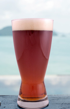 island-ipa_post