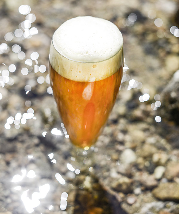 Bell's Two Hearted Homebrewing Clone