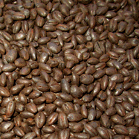 blackmalt