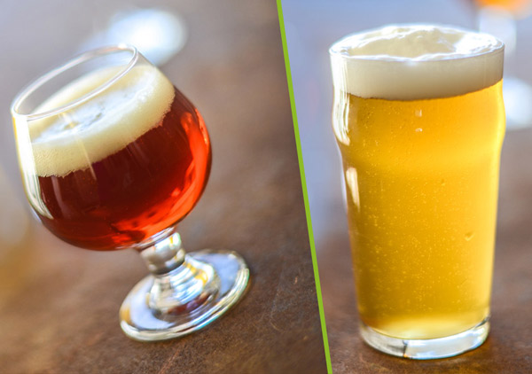 Ale vs. Lager: What's the Difference? - American Homebrewers Association